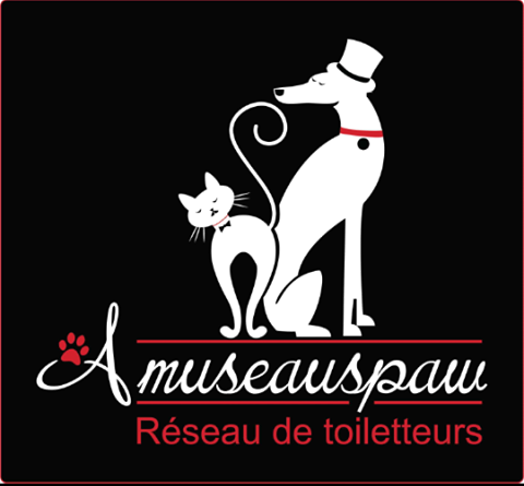 Nouvelle boutique de toilettage animaux