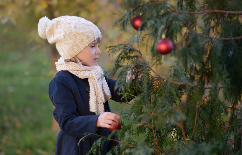 Achetez votre Sapin de Noël dès aujourd'hui!